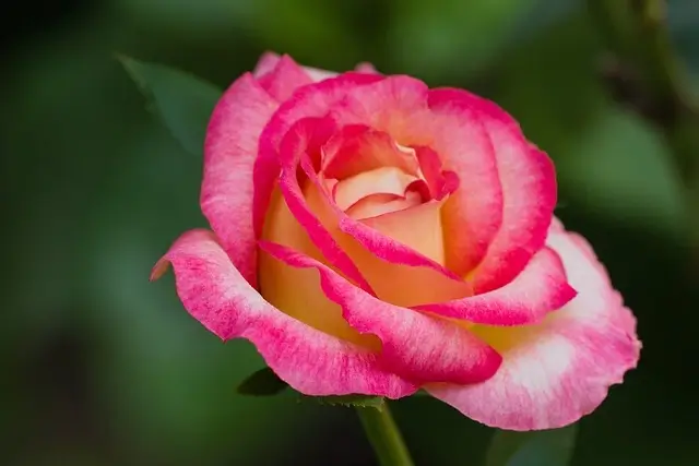 전기기능사 취득방법과 국비지원