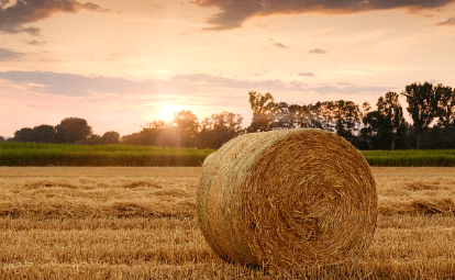 2024 기본형 공익직불금 신청자격 대상 신청방법