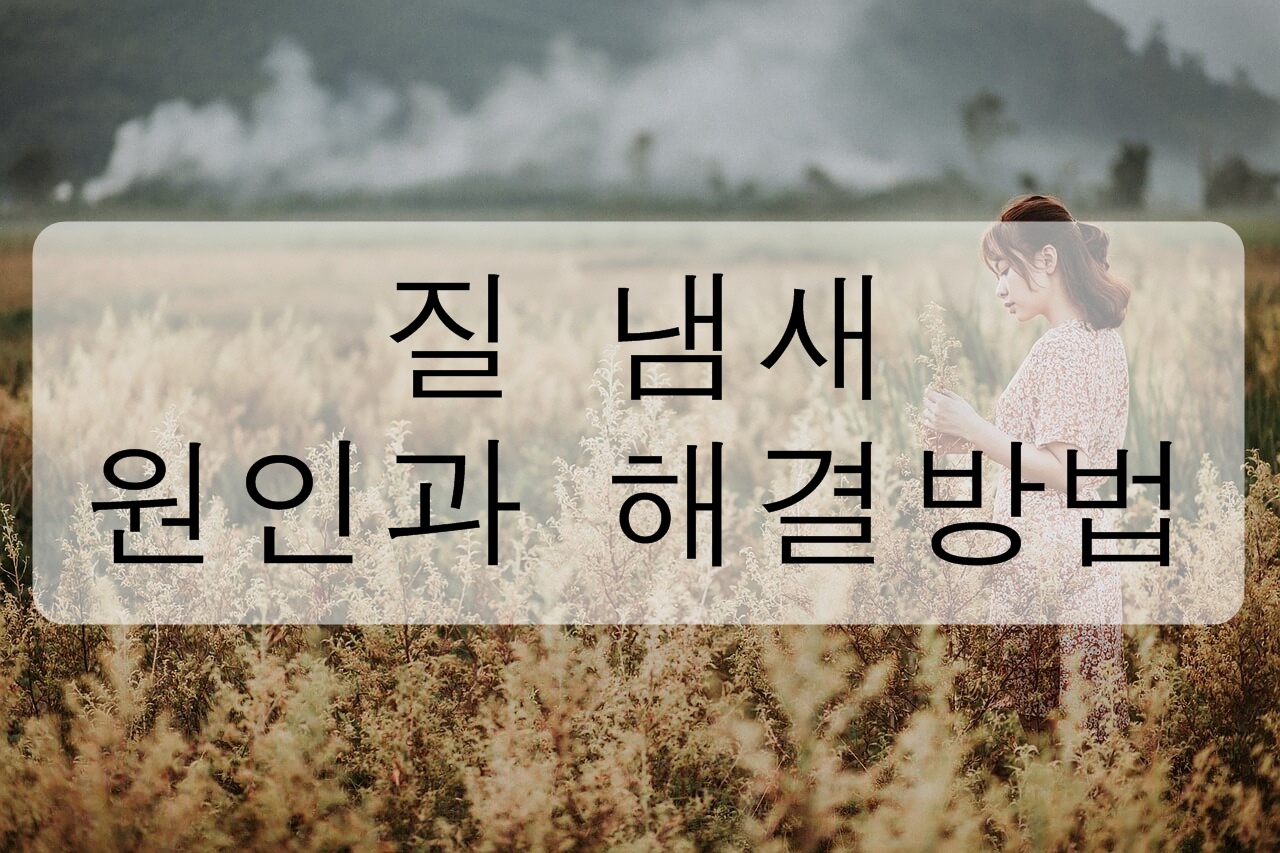 질 냄새의 원인과 해결 방법을 알아보자!