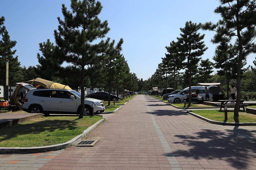 고성군 봉수대오토캠핑장 소개