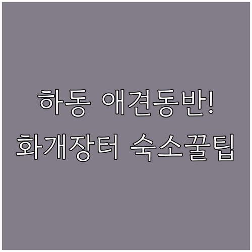 경남 하동 강아지 동반 여행 화개장터..