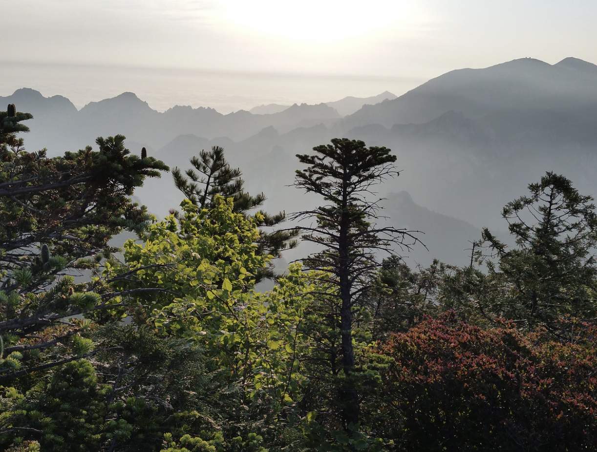 설악산 케이블카 요금안내