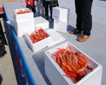 울진 대게축제_6