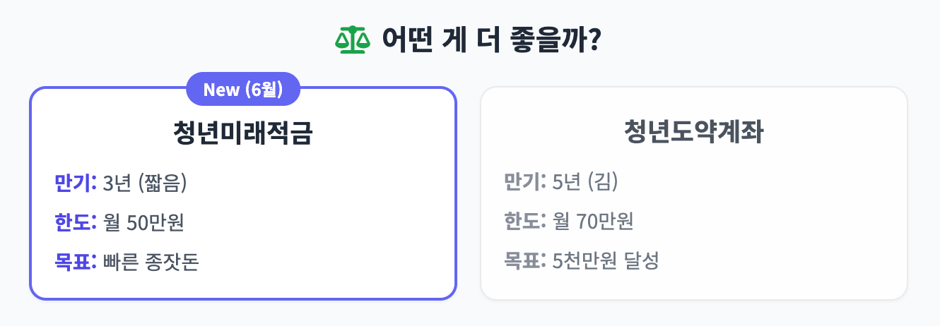 세기의 대결: 청년미래적금 vs 청년도약계좌 인포그래픽