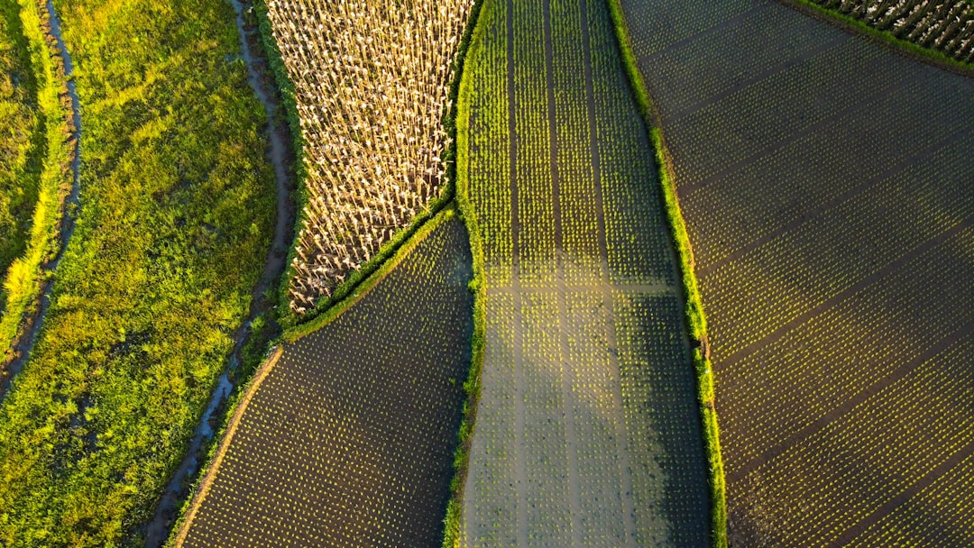 Farms