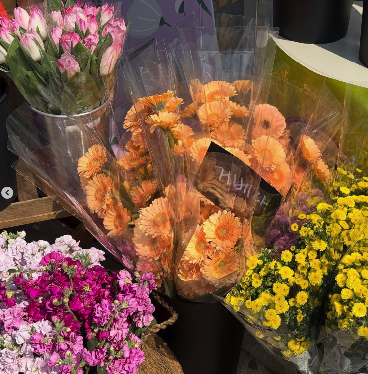 용인 자작나무숲 봄꽃 축제