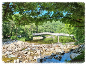 오대산월정사전나무숲길