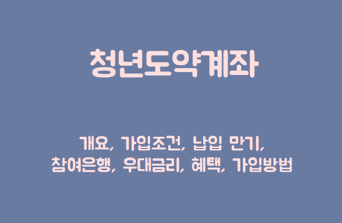 청년도약계좌 제목이 담긴 배너