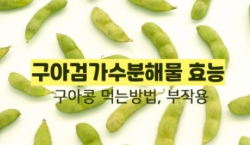 구아검 가수분해물 효능 부작용, 먹는법