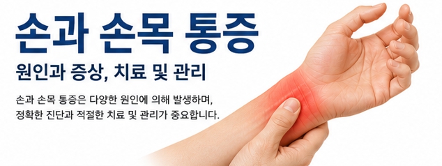 손목 골절