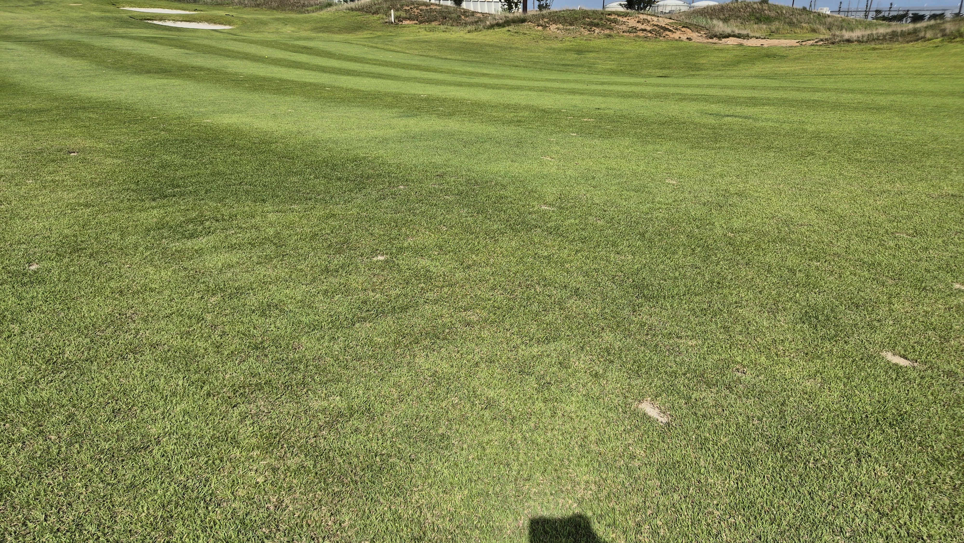 플라밍고cc 듄스-링크스 코스 라운드 후기