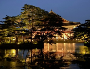 경복궁 별빛기행
