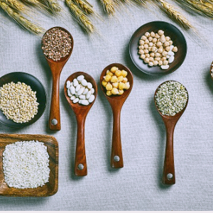 곡물 사료 관련주 대장주 10종목 정리