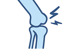 콘드로이친1200mg