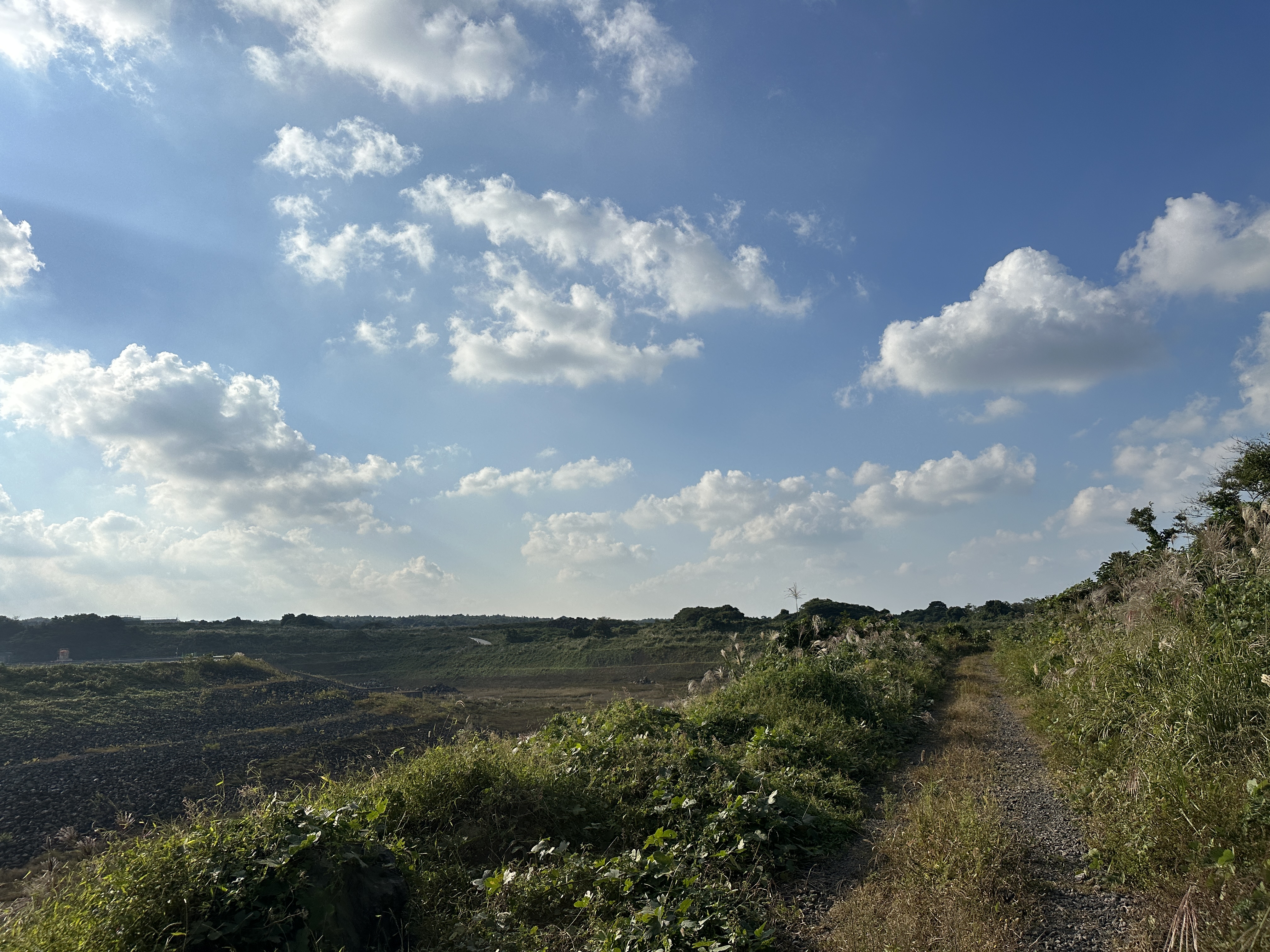 송당곶자왈 산책로