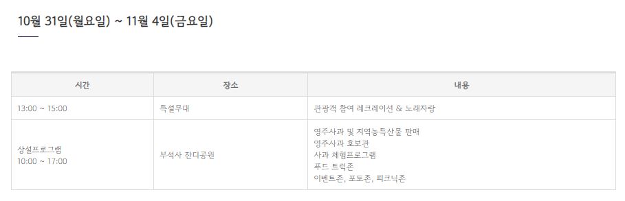 11월 축제