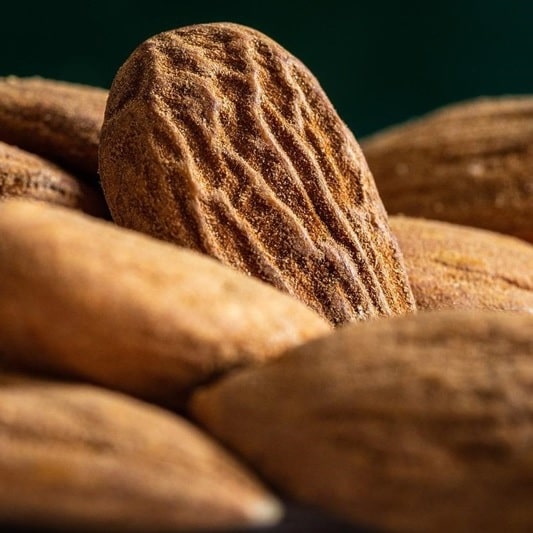 식물성 단백질 식품 효능