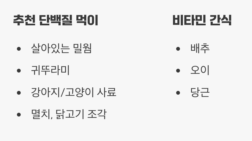 최고의 만찬, 특식과 간식 준비하기