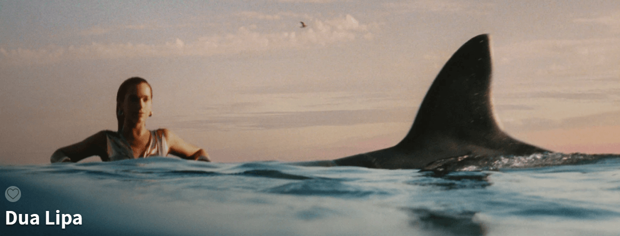 두아리파 내한 공연