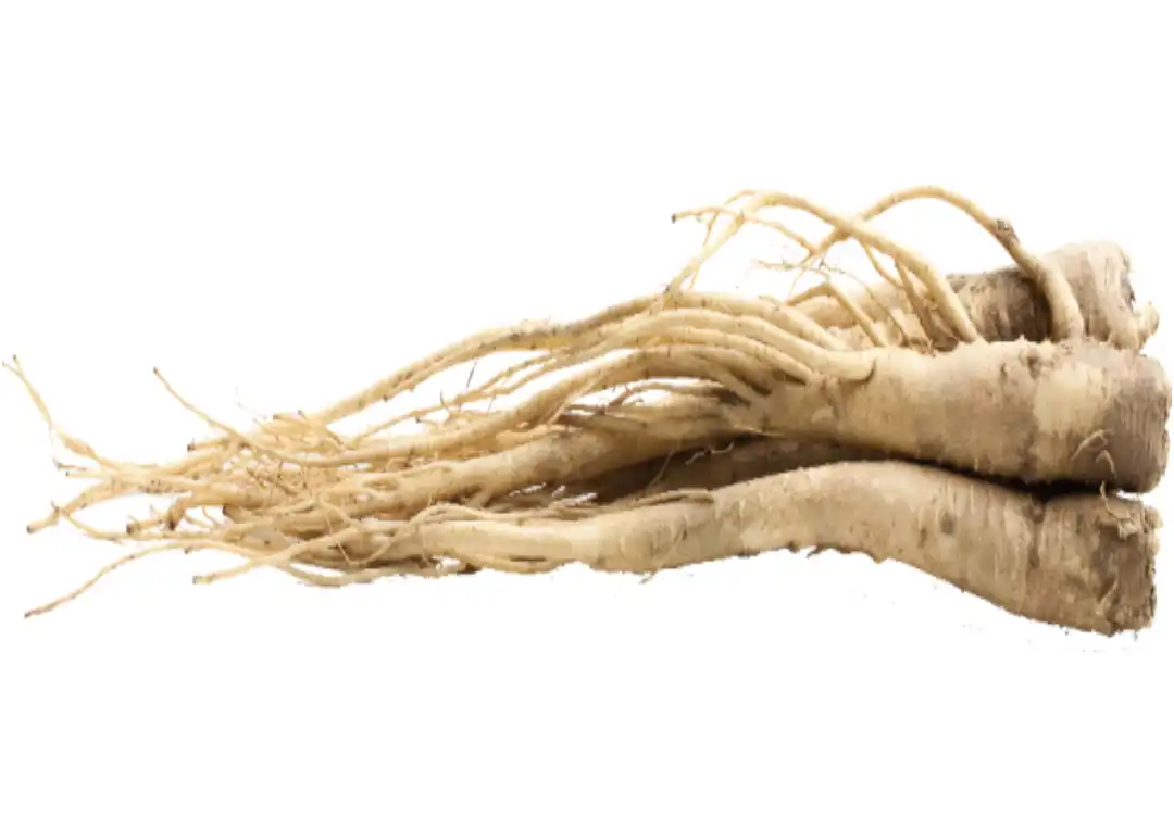 도라지의 효능&amp;#44; 건강에 좋은 이유 10가지