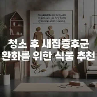 새집증후군 완화 식물선택 공기정화기능 배치 환기관리 가이드_31