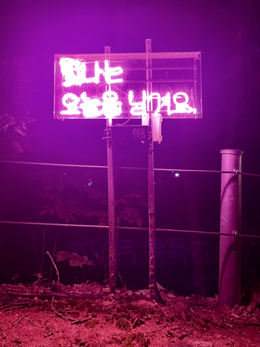 하상욱 네온사인로드3