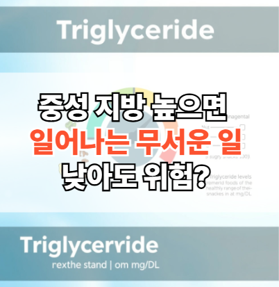 중성지방-수치-높으면-낮으면