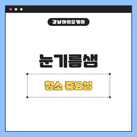 눈기름샘