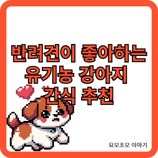 반려견-간식-추천