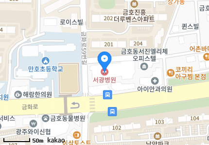 광주 서구 금호동 일요일 진료 휴일 문 여는 병원