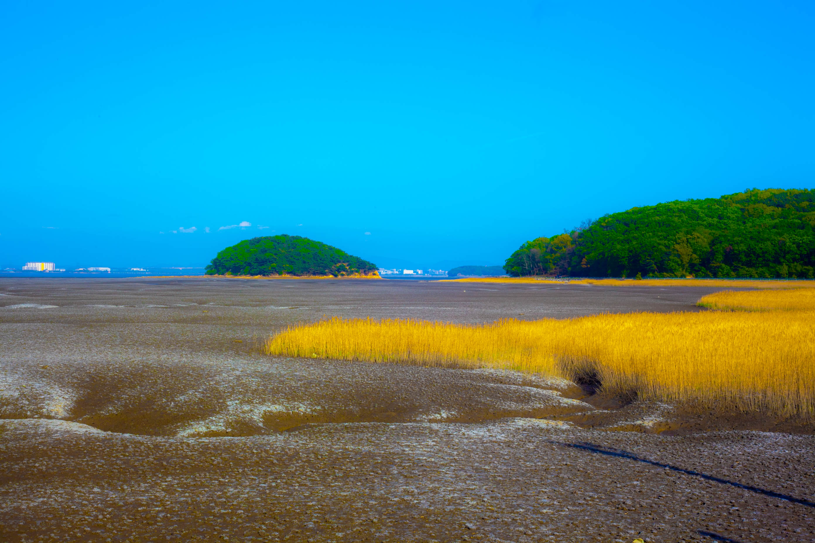 EOS 80D