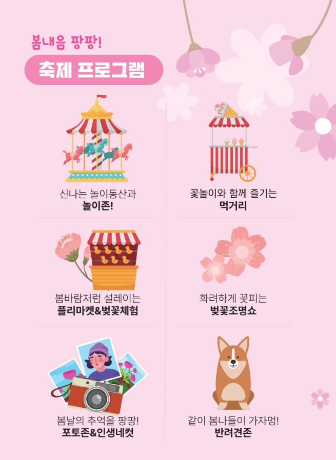 안동-벚꽃-축제