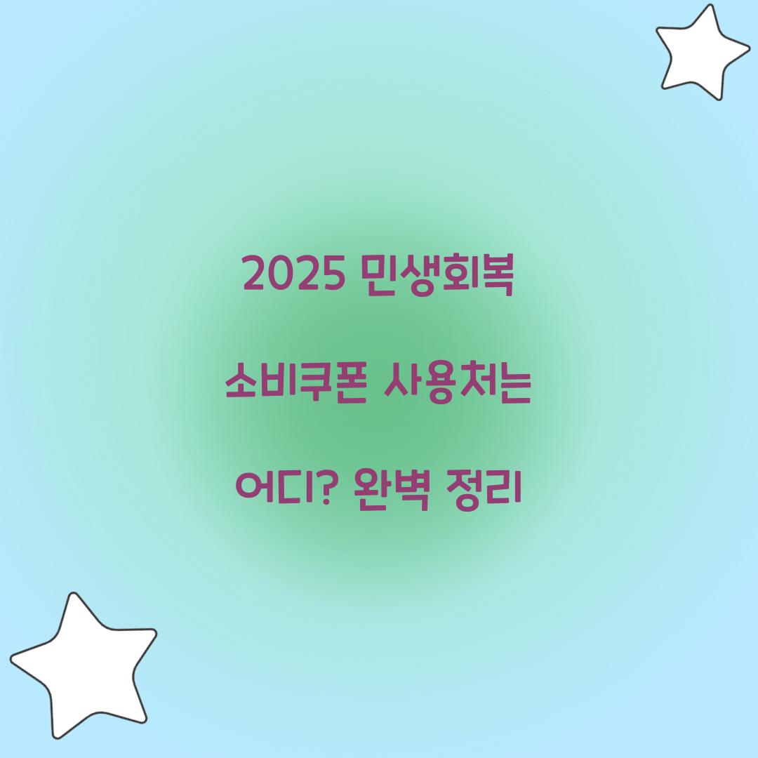 2025 민생회복 소비쿠폰 사용처
