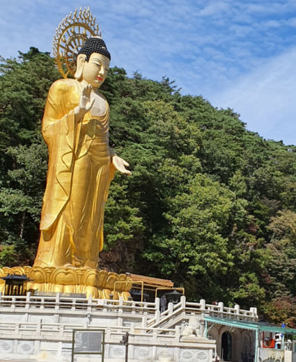 보은 가볼만한곳 베스트10