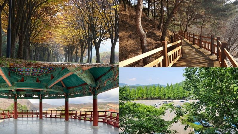 금강수목원