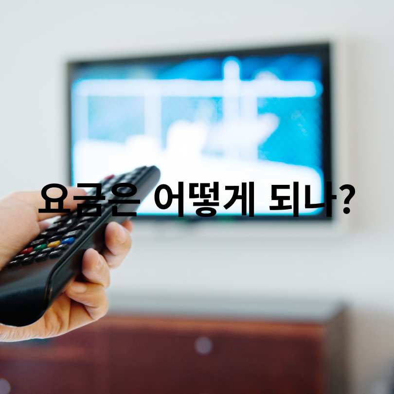 배민클럽 티빙 100원 보는 법