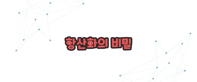 강황 효능 이보다 자세히 설명할순없다