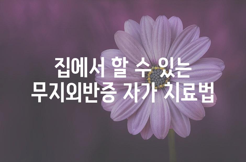샘플 (50)