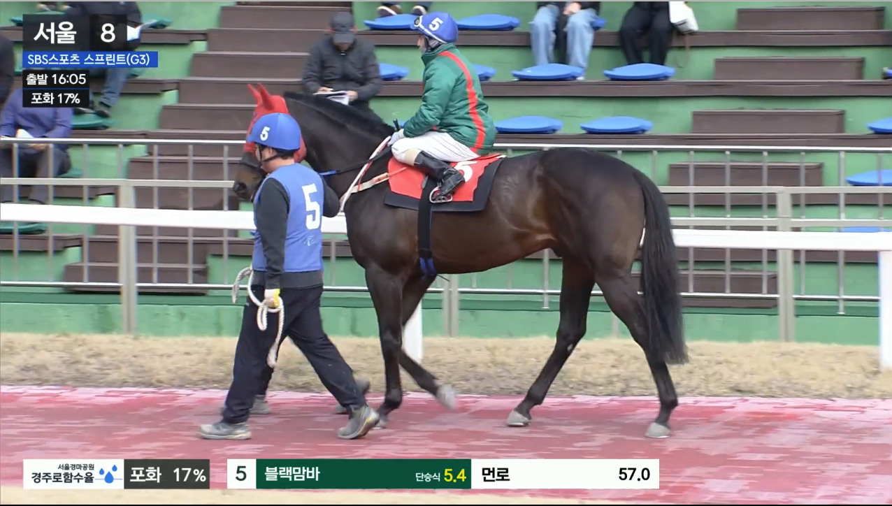블랙맘바 먼로 기수
