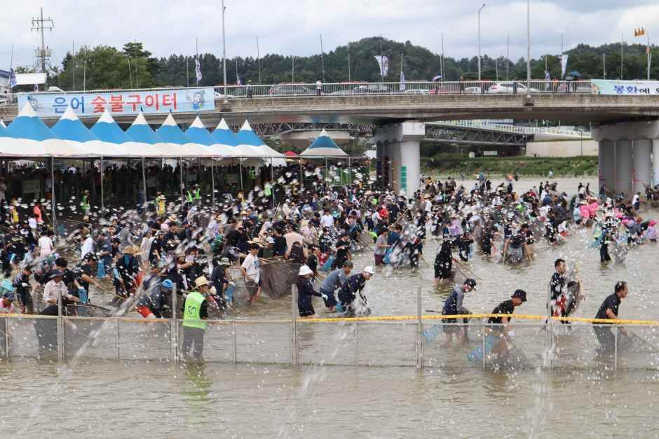 봉화은어축제 일정