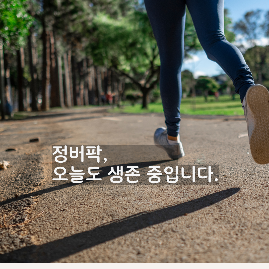 마흔 이후, 혼자 버티지 마세요 – 중년을 위한 무료 심리상담 서비스 총정리