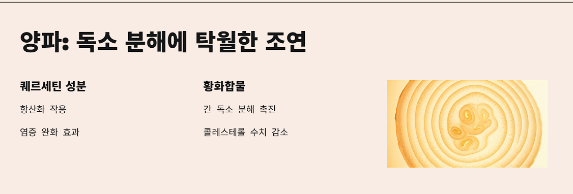 양파: 독소 분해에 탁월한 조연