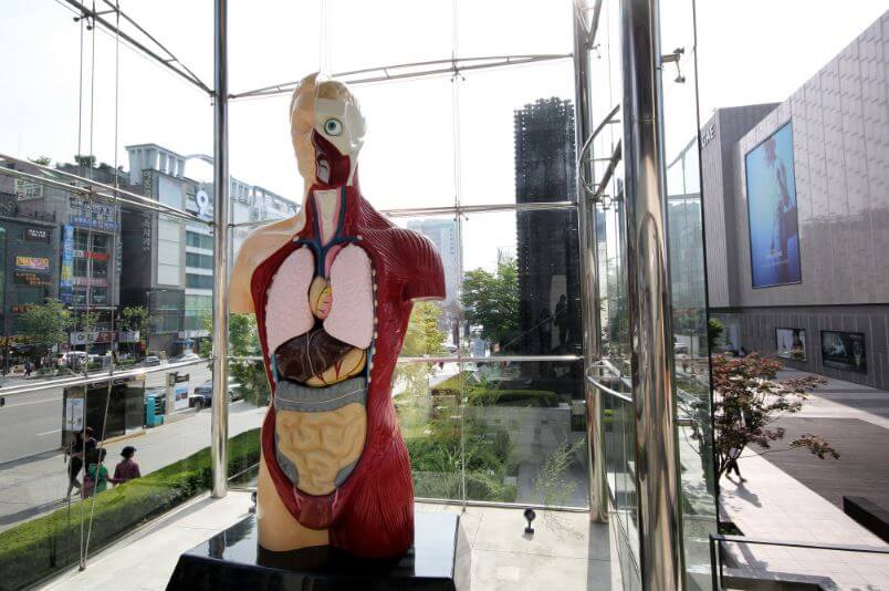 천안 가볼만한곳 베스트10 아라리오 조각광장