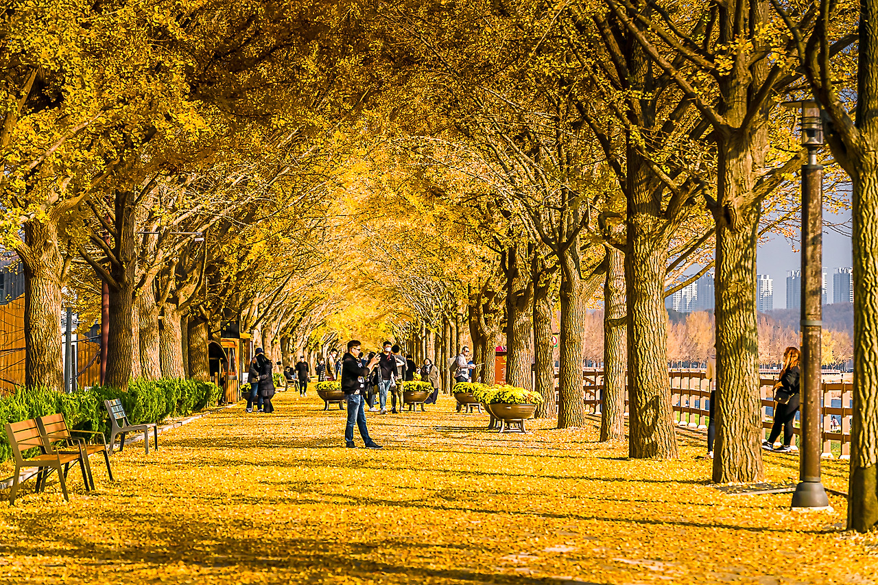 아산 생활비 줄이는 실제 루틴 — 도시 구조를 이해하면 지출이 줄어든다