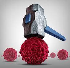 참외 껍질 참외씨 효능 5가지 참외 고르는 방법 1개 칼로리 참외장아찌 담그는 법