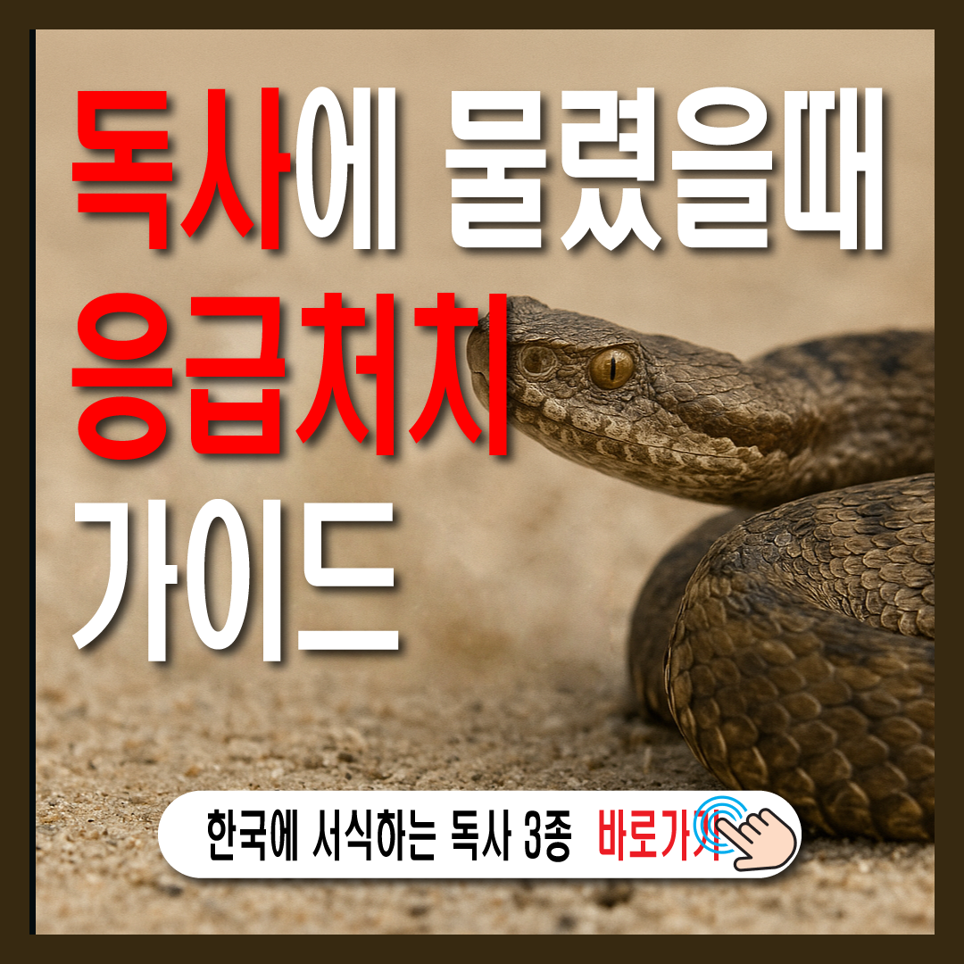 독사에 물렸을때 응급처치 가이드-썸네일
