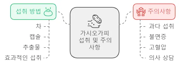 가시오가피 섭취 주의사항