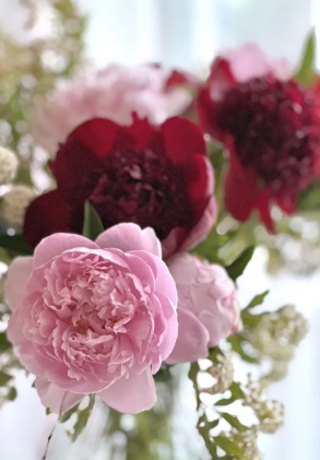 작약효능 총정리