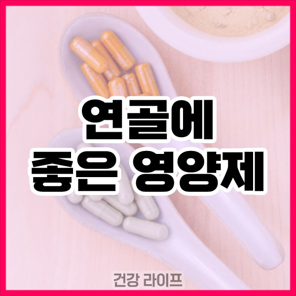 연골에 좋은 영양제