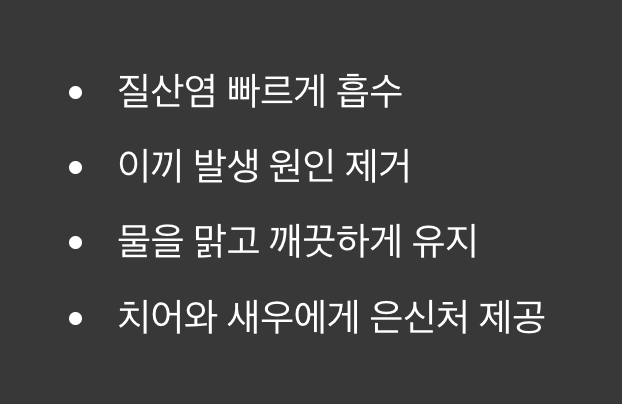 어항을 건강하게 만드는 천연 정수기